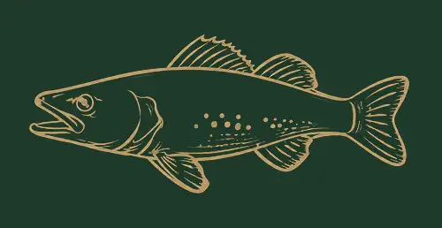 Fishing Package Icon Red cabin accommodations at Grassy Narrows Lodge in Miles Bay on Lake of the Woods.