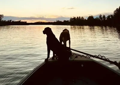Dogs riding in a boat on Lake of the Woods near Grassy Narrows Lodge