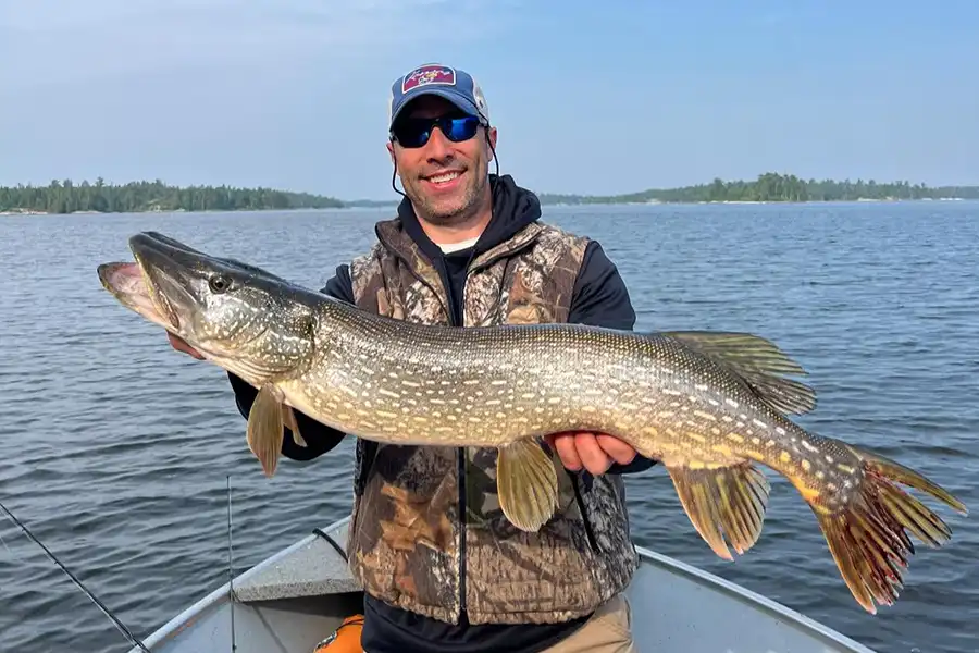 Angler holding a northern pike caught while fishing Lake of the Woods