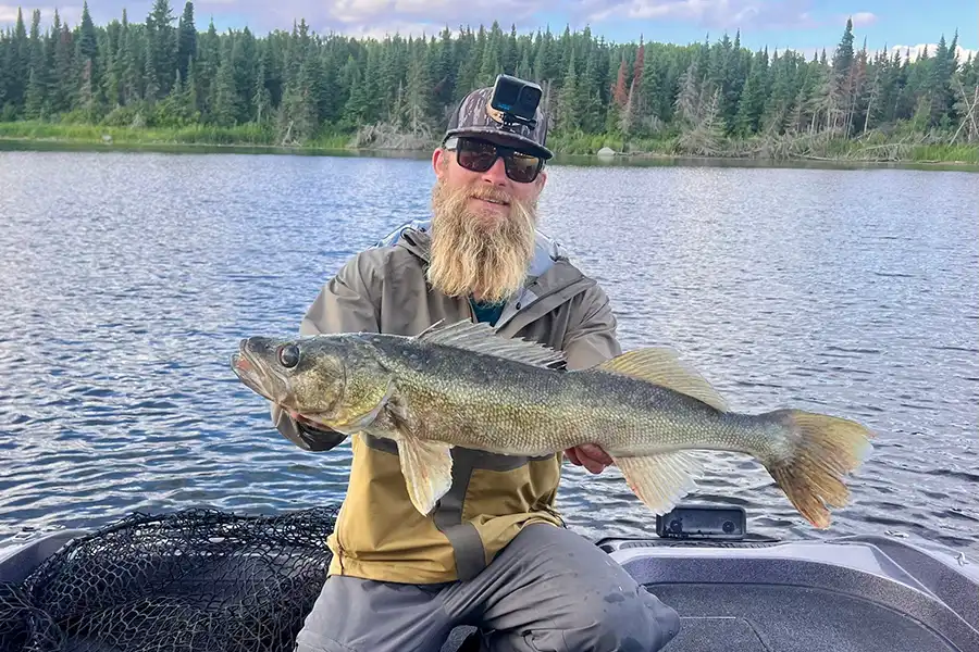 Angler holding a walleye caught while fishing Lake of the Woods